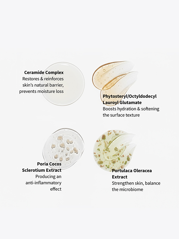 Ceramide Barrier Repair Ceramide Barrier Repair