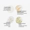 Ceramide Barrier Repair Ceramide Barrier Repair